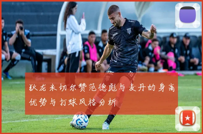 狄龙米切尔赞范德彪与麦丹的身高优势与打球风格分析